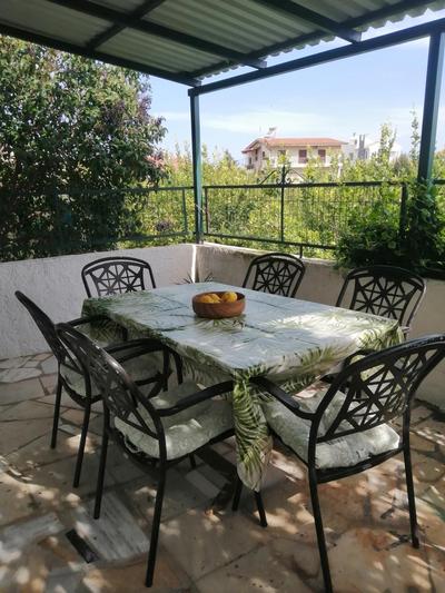 Lemon Tree Family House