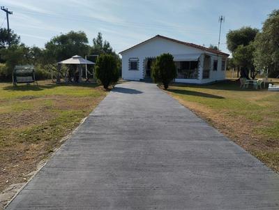 Raxoni House