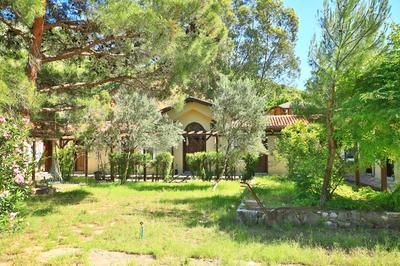 Eski Yeni Tatil Evi Olympos