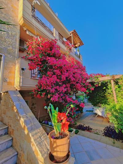 Artemis Garden Near Airport