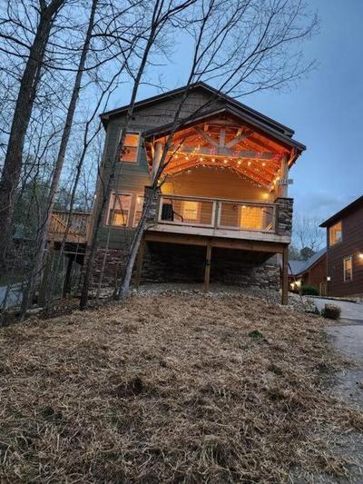 Teddy Bear Cabin