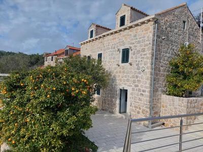 Orange Tree House