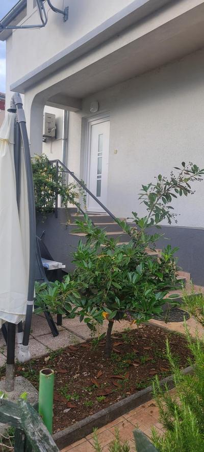 Apartmani Sonia
