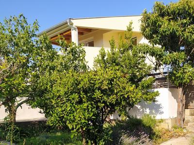 Lavender Garden House