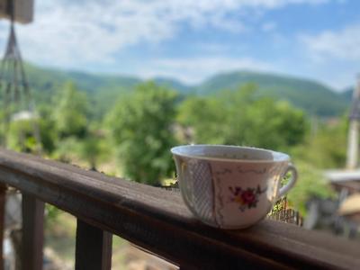 “ Casa SARYL “ Târgu Ocna