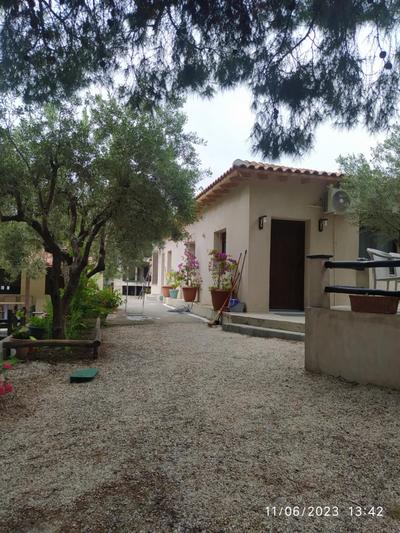 Pefkonas apartments2 100 m from the beach