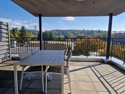 Easy-Living Buholz Hoch 12