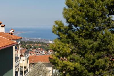 Olympus Betty’s apartments