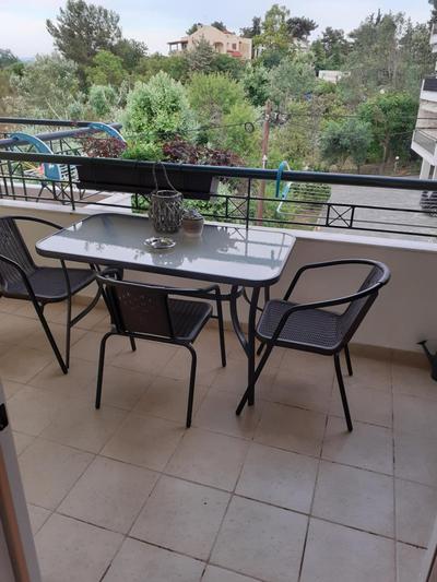 Olive Apartment