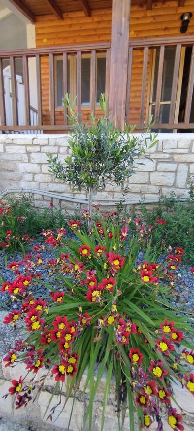 Vice Versa Elegant Studio 1