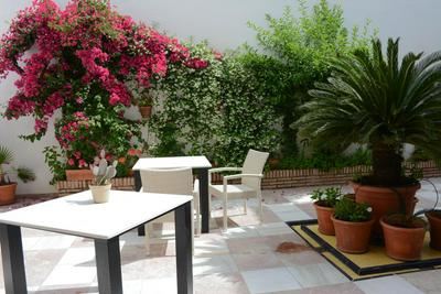 Apartamento 1 dormitorio