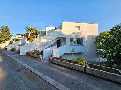 Apartman Carnevalus