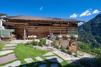 Agriturismo Apartments Tuene