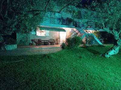 Dimitra's garden