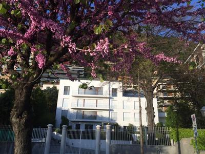 Villa Bianca