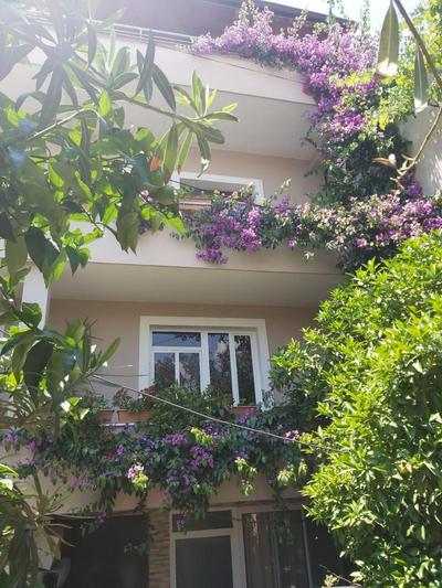 Flowers Guesthouse