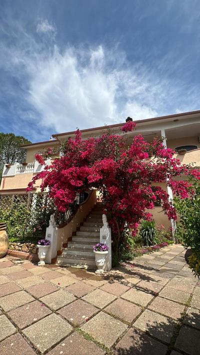 Casa Vacanze La Brii