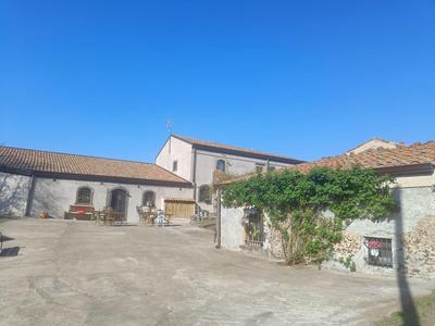 Il Tanaceto