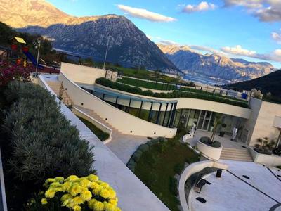 Lavender Bay Apartment