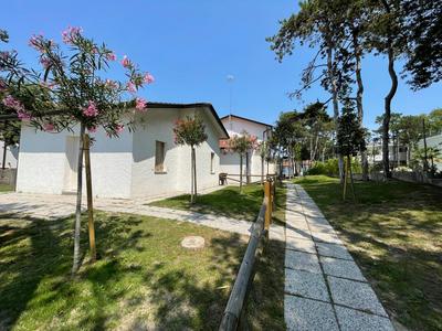 House Pinetine