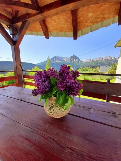 DURMITOR APARTMAN Pitomine