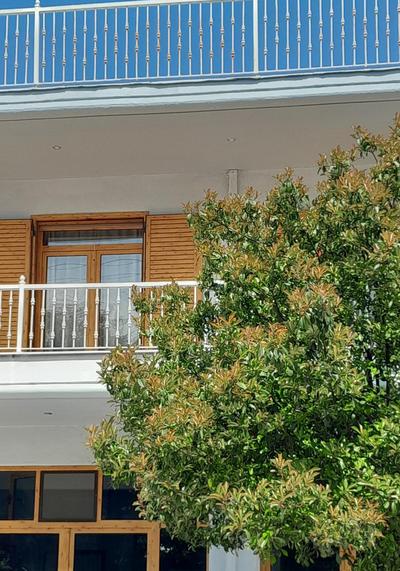 NIKITA'S HOUSE -4 bedrooms 5' from racetrack