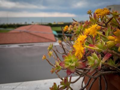 Appartamento Roberta