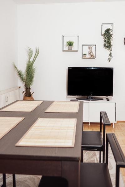 Buergerspitalgasse Zentrale Wohnung am Westbahnhof