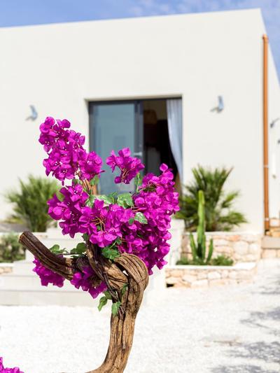 Kartika Charming House