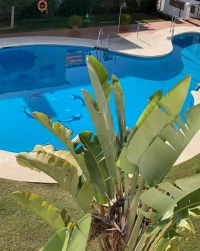 Appartement Pueblo del Parque avec belle terrasse