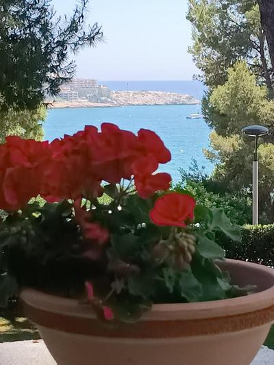 Beach & Flowers Free Parking