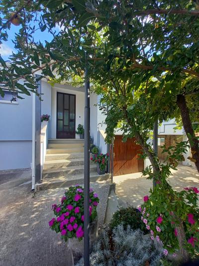 Apartment Rosa
