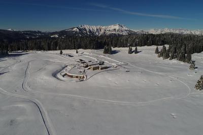 Malga Millegrobbe Nordic Resort