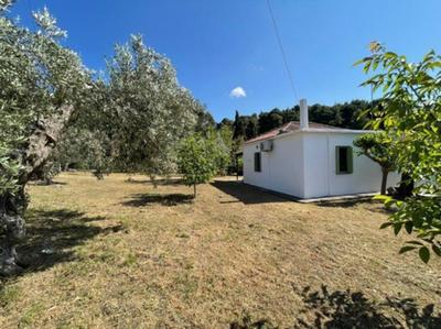 Magnolia House Stafylos