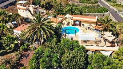 Finca Vino Tinto 2