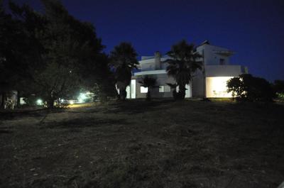 Boat dreams , garden relax