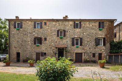 La pieve - Margherite