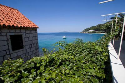 Apartment Navis