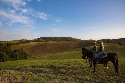 Villa Torre Delle Rose - Firenzuola, Private Pool, Ac, Privacy