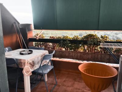 Garden suite