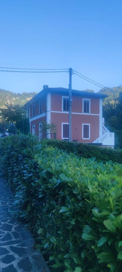 L'amoruccio