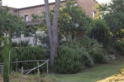 Il Saragio