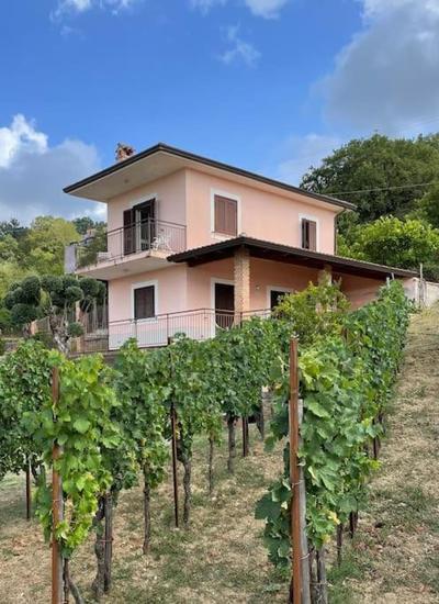 Pink House