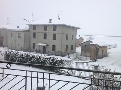 B&B Lattemiele