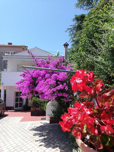 Apartments Poretti for 2,in Center Parking Free in the yard,6 min beach walk