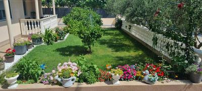 Apartmani Italo