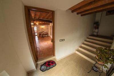 Coccinella House