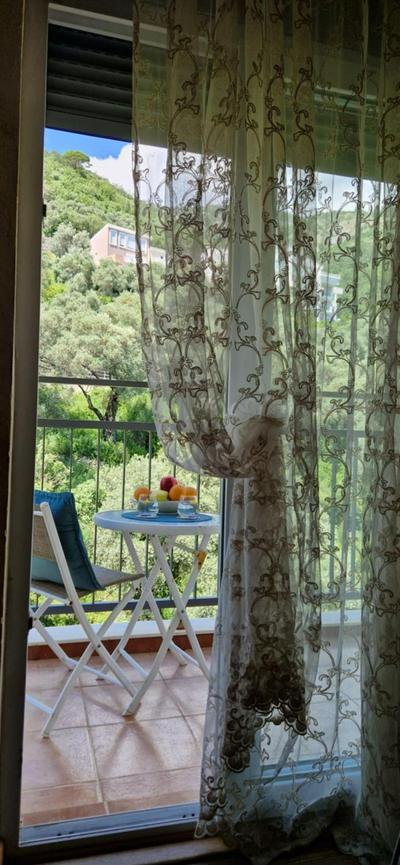 One Bedroom Apartment Petrovac