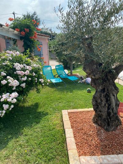 Vaucluse Guesthouse