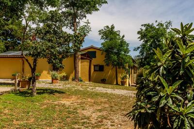 Margherita - Agriturismo La Fattoria